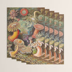 Ernst Haeckel Sea Anemones Vintage Illustration Wrapping Paper Gallery Image 3