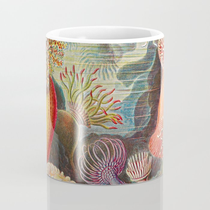 Ernst Haeckel Sea Anemones Vintage Illustration Coffee Mug Gallery Image 4