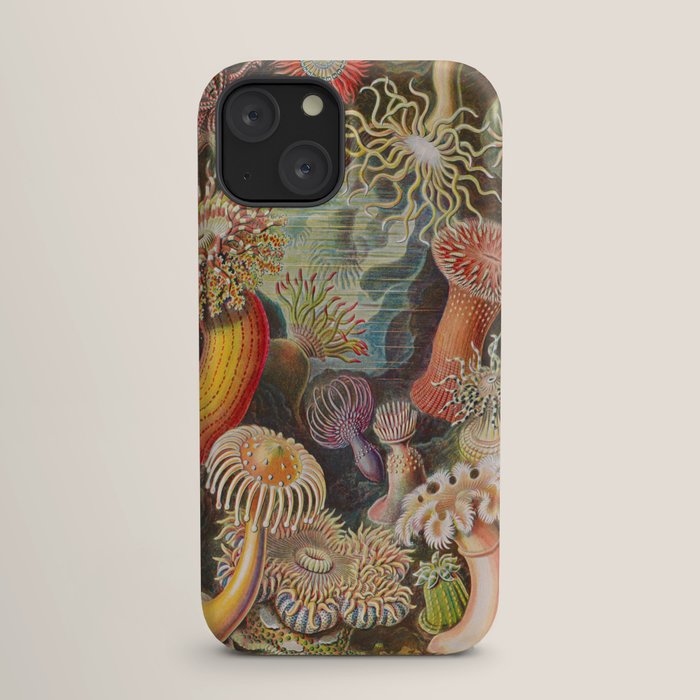 Ernst Haeckel Sea Anemones Vintage Illustration iPhone Case Gallery Image 17