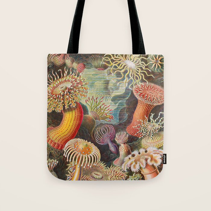 Ernst Haeckel Sea Anemones Vintage Illustration Tote Bag Gallery Image 1