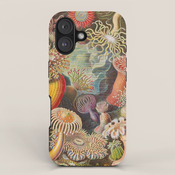 Ernst Haeckel Sea Anemones Vintage Illustration iPhone Case Gallery Image 1