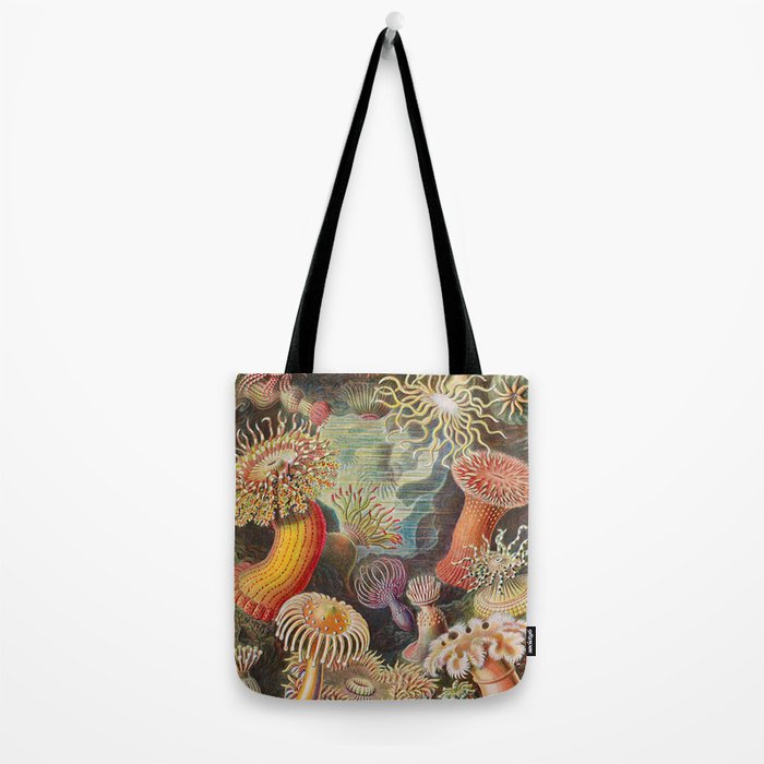 Ernst Haeckel Sea Anemones Vintage Illustration Tote Bag Gallery Image 2
