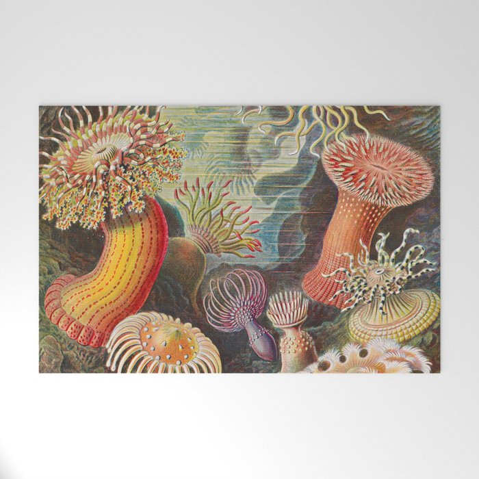 Ernst Haeckel Sea Anemones Vintage Illustration Welcome Mat Gallery Image 1