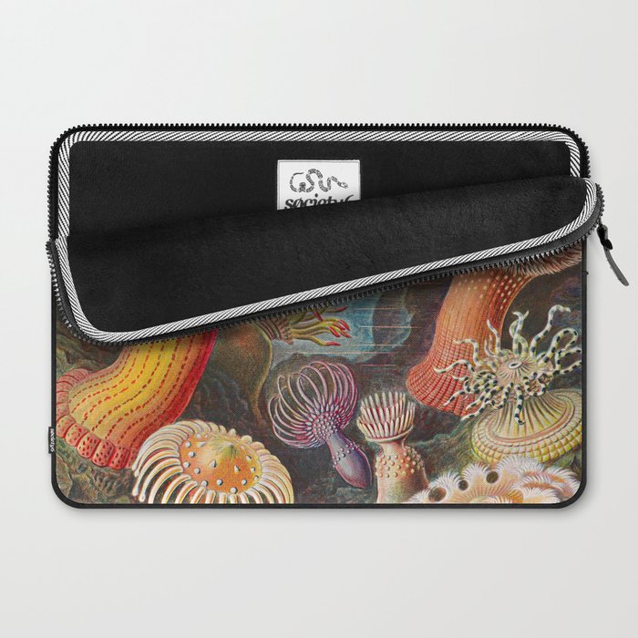 Ernst Haeckel Sea Anemones Vintage Illustration Laptop Sleeve Gallery Image 2