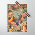 Ernst Haeckel Sea Anemones Vintage Illustration Wrapping Paper Gallery Image 1