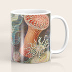 Ernst Haeckel Sea Anemones Vintage Illustration Coffee Mug Gallery Image 1