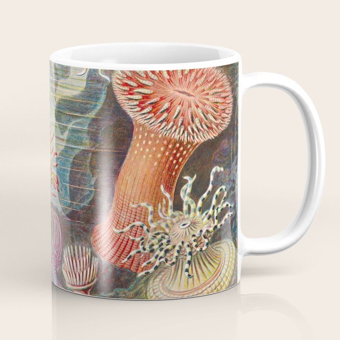 Ernst Haeckel Sea Anemones Vintage Illustration Coffee Mug Gallery Image 1
