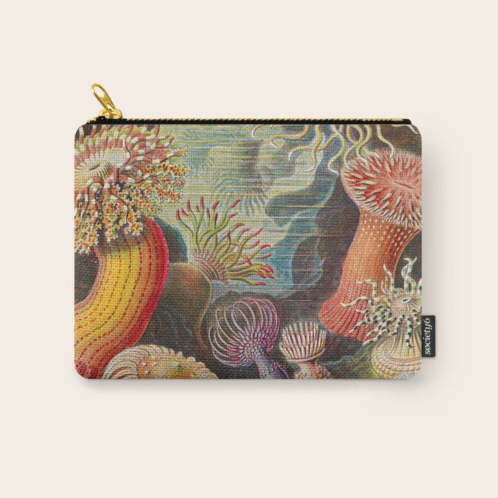 Ernst Haeckel Sea Anemones Vintage Illustration Carry All Pouch Gallery Image 1