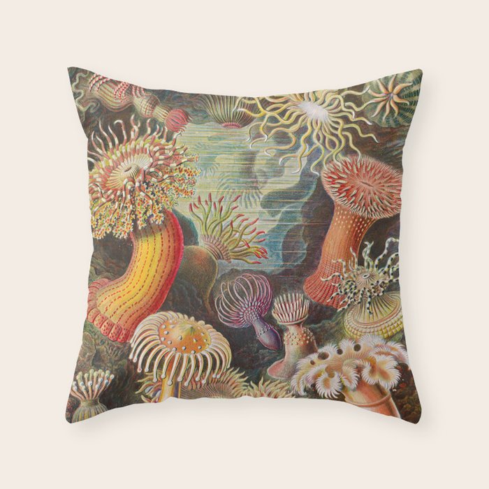 Ernst Haeckel Sea Anemones Vintage Illustration Throw Pillow Gallery Image 1