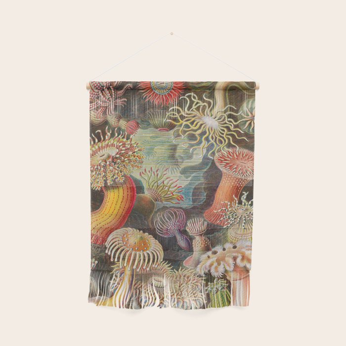 Ernst Haeckel Sea Anemones Vintage Illustration Wall Hanging Gallery Image 1