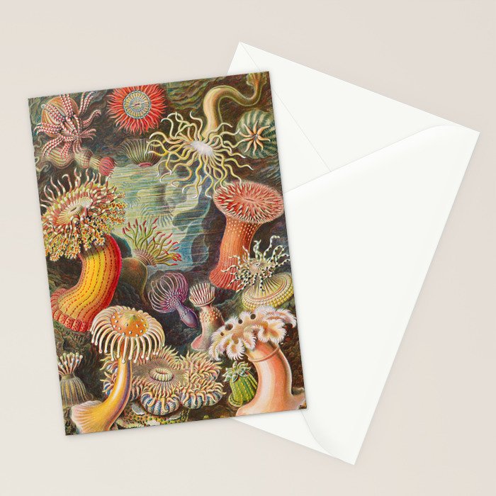 Ernst Haeckel Sea Anemones Vintage Illustration Stationery Card Gallery Image 2