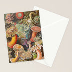 Ernst Haeckel Sea Anemones Vintage Illustration Stationery Card Gallery Image 2