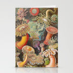 Ernst Haeckel Sea Anemones Vintage Illustration Stationery Card Gallery Image 2