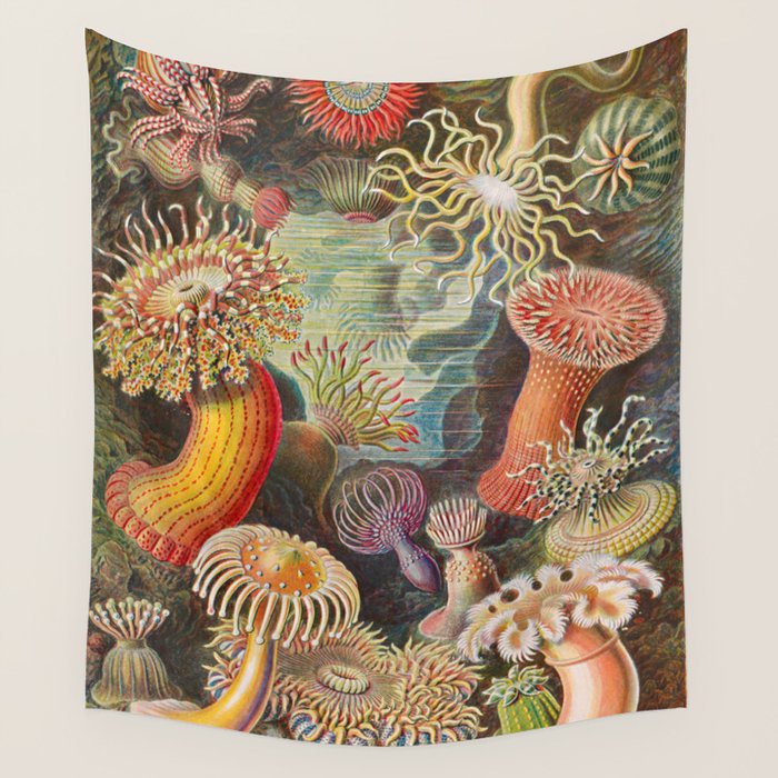 Ernst Haeckel Sea Anemones Vintage Illustration Wall Tapestry Gallery Image 1