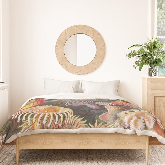 Ernst Haeckel Sea Anemones Vintage Illustration Duvet Cover Gallery Image 3