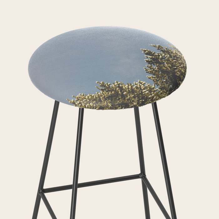 Forest Sunrise - Nature Photography Stool Gallery Image 2