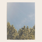 Forest Sunrise - Nature Photography Poster Gallery Image 4