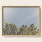 Forest Sunrise - Nature Photography Serving Tray Gallery Image 1