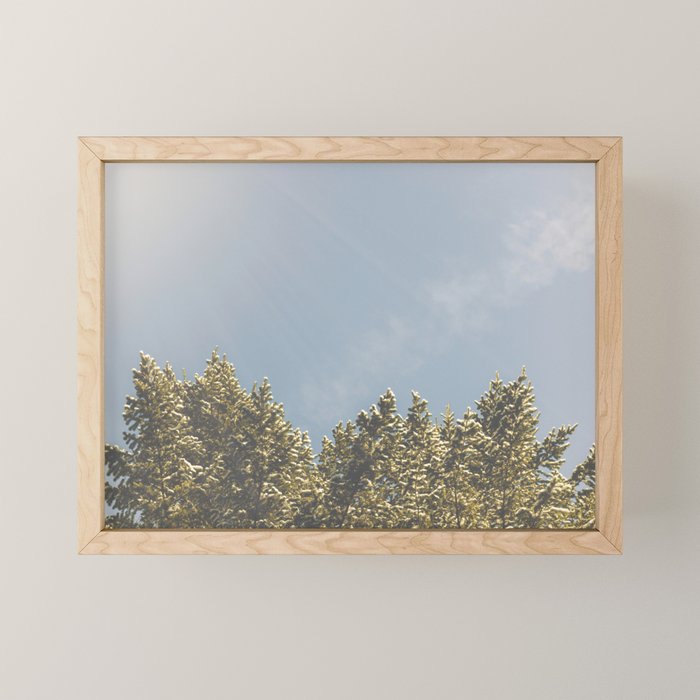 Forest Sunrise - Nature Photography Mini Art Print Gallery Image 1