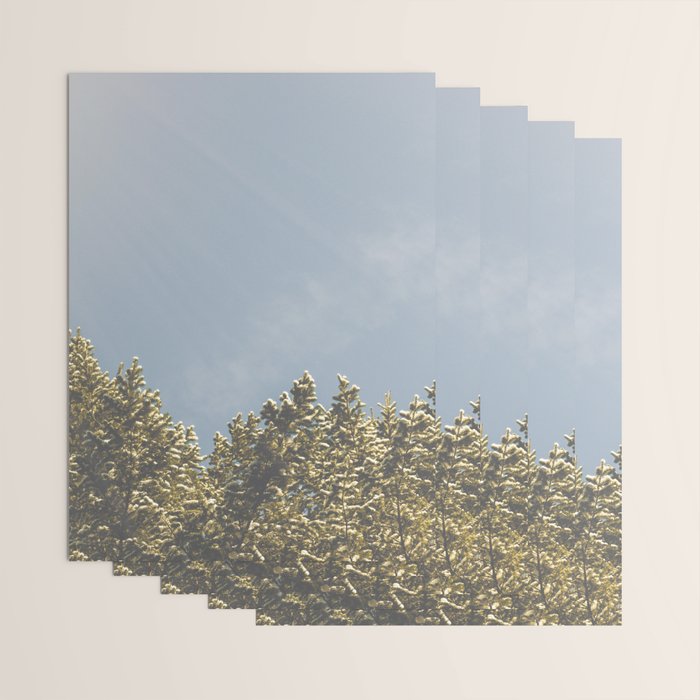 Forest Sunrise - Nature Photography Wrapping Paper Gallery Image 3