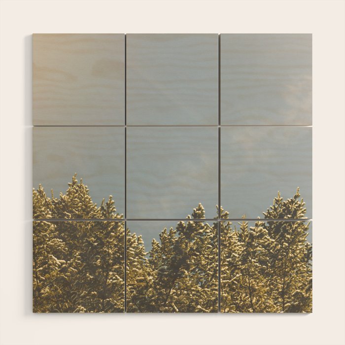 Forest Sunrise - Nature Photography Wood Wall Art Gallery Image 1