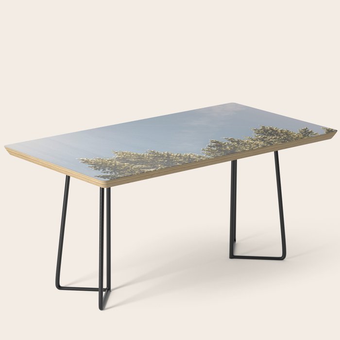 Forest Sunrise - Nature Photography Coffee Table Gallery Image 1