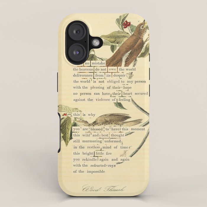 Wood Thrush Divination from # An Almanac of Birds # Divinations for Uncertain Days Art Print iPhone Case Gallery Image 1