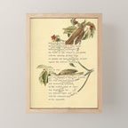 Wood Thrush Divination from # An Almanac of Birds # Divinations for Uncertain Days Art Print Mini Art Print Gallery Image 1
