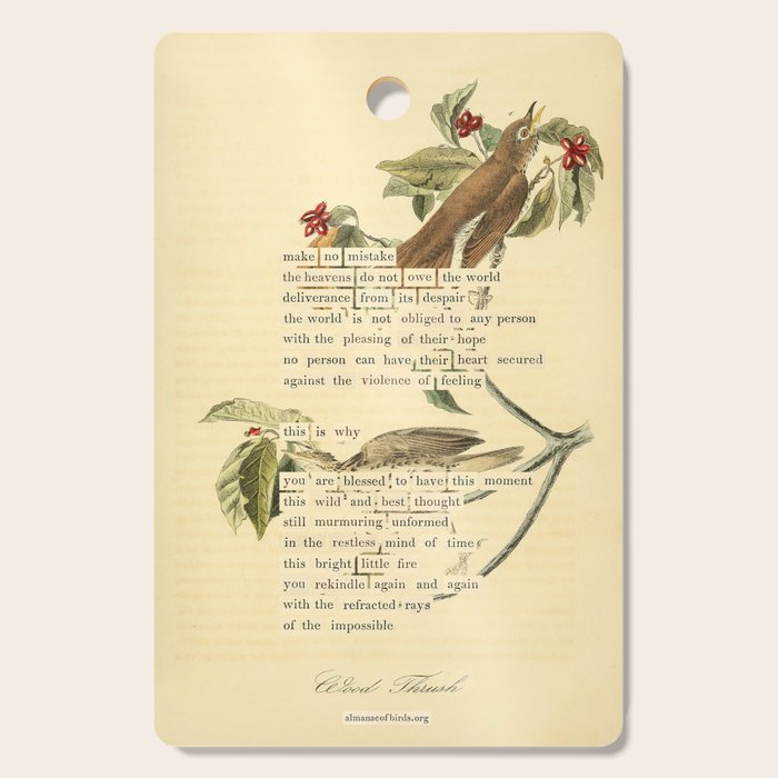Wood Thrush Divination from # An Almanac of Birds # Divinations for Uncertain Days Art Print Cutting Board Gallery Image 1