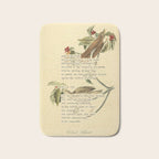 Wood Thrush Divination from # An Almanac of Birds # Divinations for Uncertain Days Art Print Bath Mat Gallery Image 1