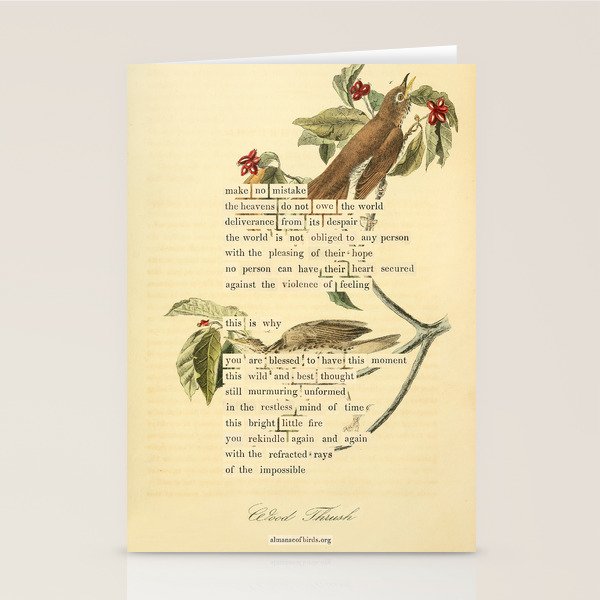 Wood Thrush Divination from # An Almanac of Birds # Divinations for Uncertain Days Art Print Stationery Card Gallery Image 2