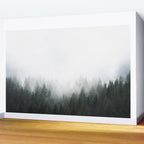 PNW Forest Mountain Adventure IV  Wall Mural Gallery Image 2