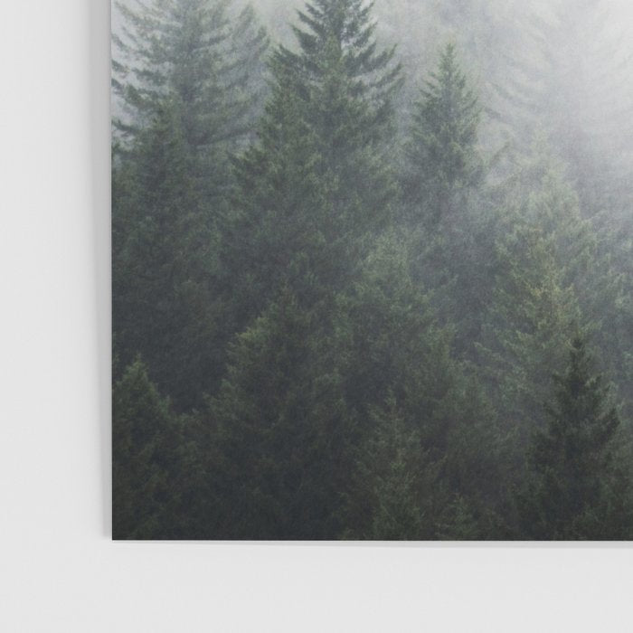 PNW Forest Mountain Adventure IV  Poster Gallery Image 3