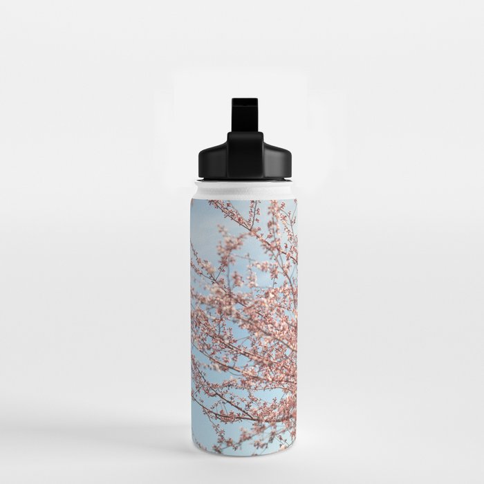 Washington DC Cherry Blossoms Water Bottle Gallery Image 2