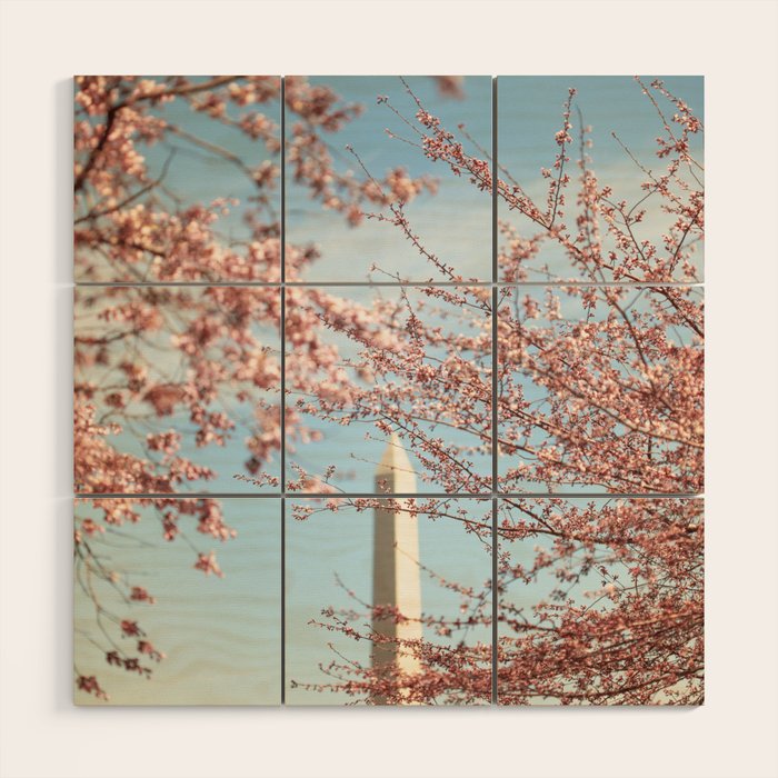 Washington DC Cherry Blossoms Wood Wall Art Gallery Image 1