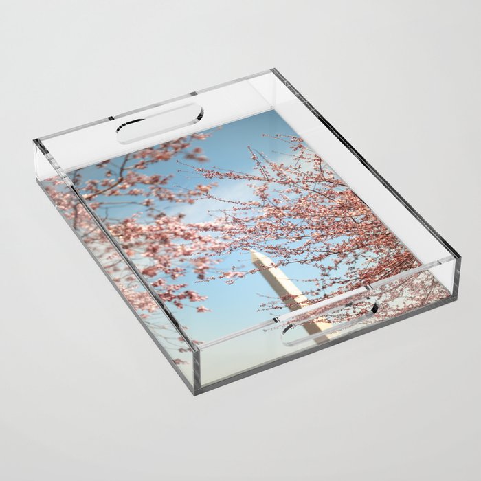 Washington DC Cherry Blossoms Acrylic Tray Gallery Image 1