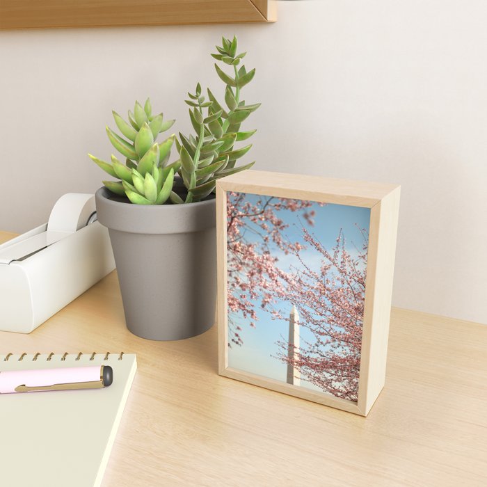 Washington DC Cherry Blossoms Mini Art Print Gallery Image 2