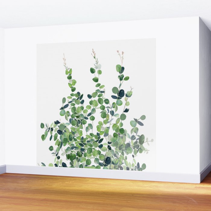 Eucalyptus  Wall Mural Gallery Image 2