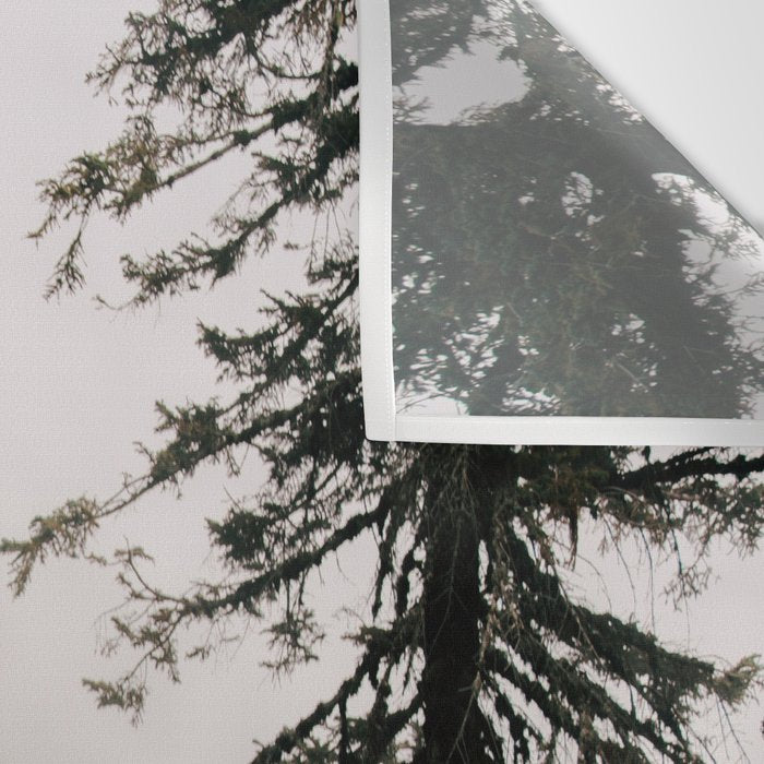 Misty Forest Path Wall Tapestry Gallery Image 3