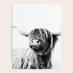 HIGHLAND CATTLE FRIDA Poster Gallery Image 4