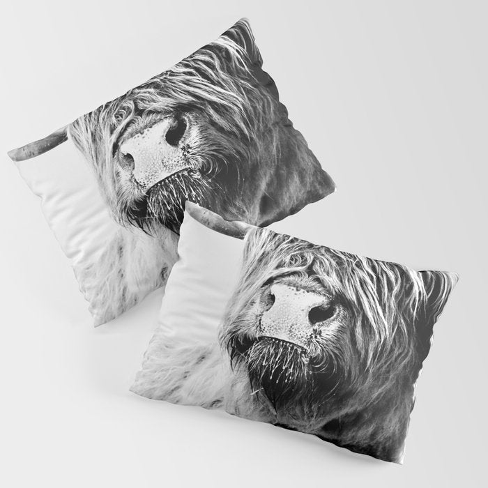 HIGHLAND CATTLE FRIDA Pillow Sham Gallery Image 3
