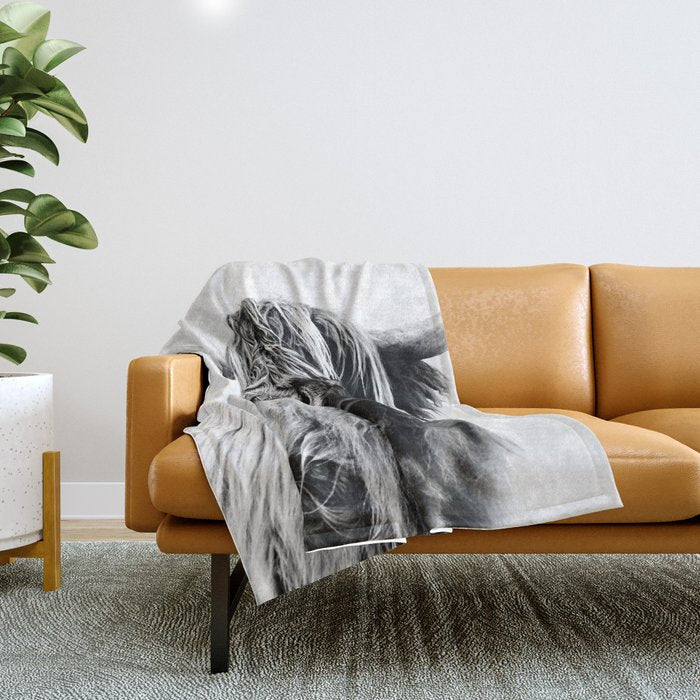 HIGHLAND CATTLE FRIDA Throw Blanket Gallery Image 1