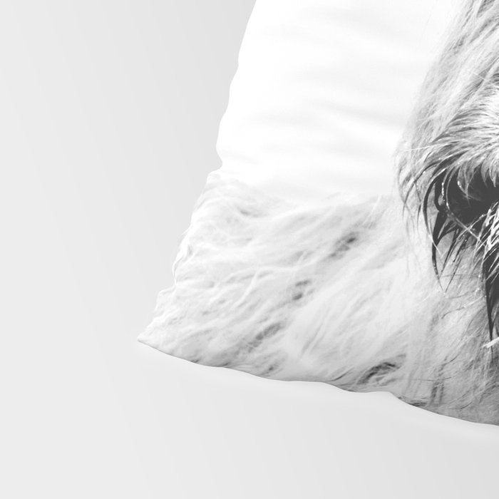 HIGHLAND CATTLE FRIDA Pillow Sham Gallery Image 4
