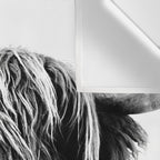 HIGHLAND CATTLE FRIDA Wall Tapestry Gallery Image 3