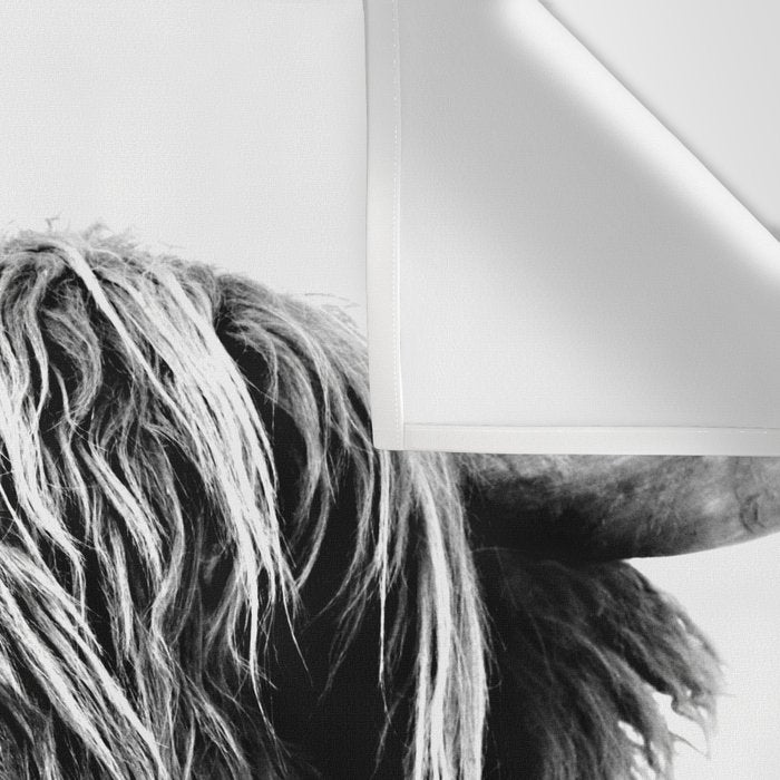 HIGHLAND CATTLE FRIDA Wall Tapestry Gallery Image 3