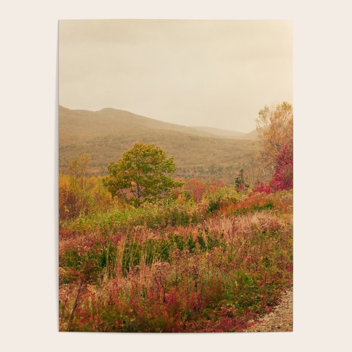 Wandering Through Autumn Poster Gallery Image 4