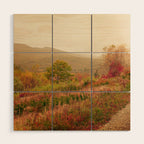 Wandering Through Autumn Wood Wall Art Gallery Image 1