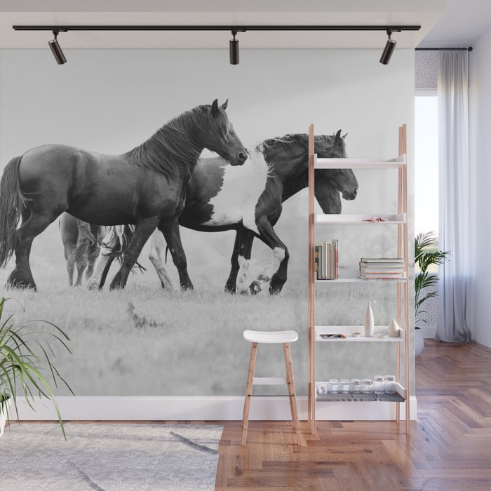 Free Rein - Black and White Photography Wall Mural Gallery Image 1