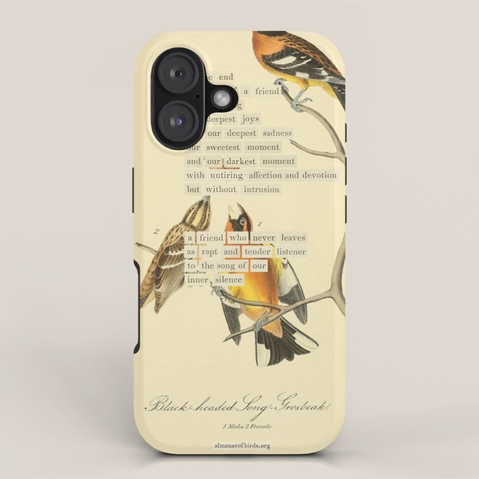 Bird Divinations: Black-headed Song-grosbeak (about: almanacofbirds.org)  iPhone Case Gallery Image 1