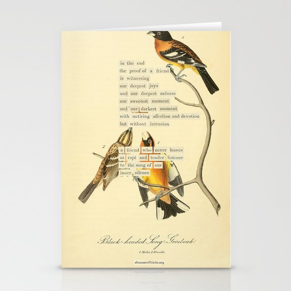 Bird Divinations: Black-headed Song-grosbeak (about: almanacofbirds.org)  Stationery Card Gallery Image 2